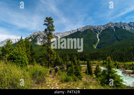 Il Parco Nazionale di Banff, Alberta. Maggio 27, 2018. Un escursionista a piedi lungo un percorso verso l'inchiostro pentole nel Parco Nazionale di Banff, Canada Foto Stock