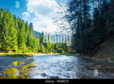 Wild fiume di montagna nella foresta. incantevole paesaggio autunnale della natura dei Carpazi Foto Stock