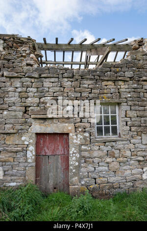 Rovinoso vecchio fienile in Swaledale, North Yorkshire, Inghilterra. Foto Stock