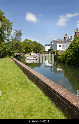 Città di Canterbury, Inghilterra. Vista estiva del grande Stour a Canterbury Abate del Mulino del giardino, con una gita punt in background. Foto Stock