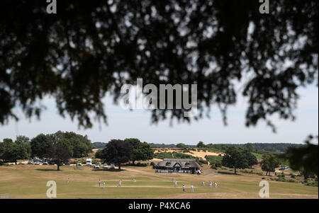 Una partita di cricket è giocato a Bolton banco del vicino a Lyndhurst in New Forest. Foto Stock