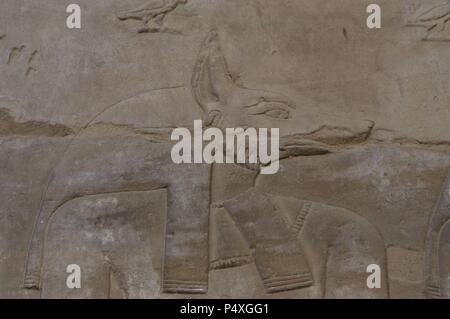 L'Egitto. Edfu. Tempio di Horus. Rilievo raffigurante il jackal capo-dio Anubis. Foto Stock