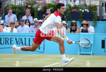 Serbia Novak Djokovic durante il sesto giorno del Fever-Tree Championship al Queen's Club di Londra. PREMERE ASSOCIAZIONE foto. Data immagine: Sabato 23 giugno 2018. Vedi la storia del PA TENNIS Queens. Il credito fotografico dovrebbe essere: Steven Paston/PA Wire. . Foto Stock