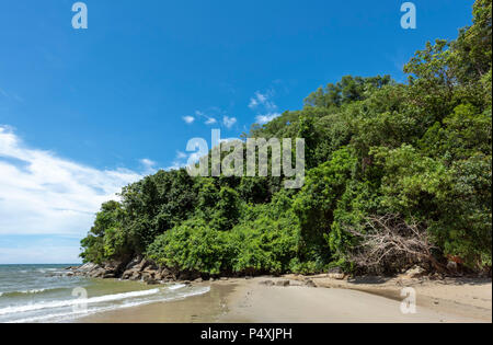 Il Borneo rainforest raggiunge il mare della Cina del Sud a Kota Kinabalu, Borneo Malaysia Foto Stock