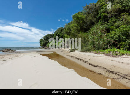 Il Borneo rainforest raggiunge il mare della Cina del Sud a Kota Kinabalu, Borneo Malaysia Foto Stock