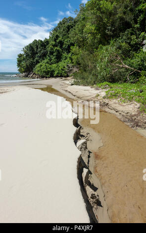 Il Borneo rainforest raggiunge il mare della Cina del Sud a Kota Kinabalu, Borneo Malaysia Foto Stock