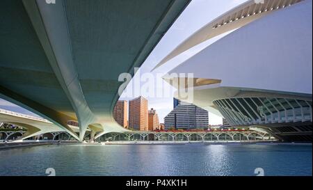 ARTE siglo XX. ESPAÑA. CIUDAD DE las Artes y las Ciencias. Proyecto realizado en 1999 por Santiago Calatrava (n.1951). Vista del PALACIO DE LAS ARTES REINA SOFIA. VALENCIA. Comunidad Valenciana. Foto Stock