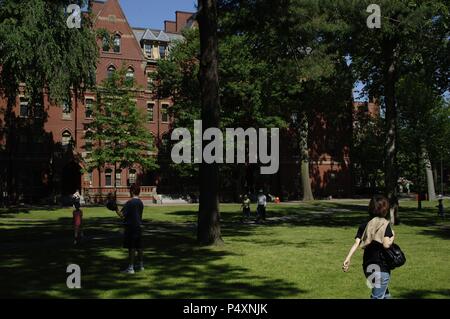 L'Università di Harvard. Vista parziale del campus. Cambridge. Massachusetts. Stati Uniti. Foto Stock