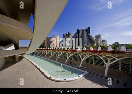 ARTE siglo XX. ESPAÑA. CIUDAD DE las Artes y las Ciencias. Proyecto realizado en 1999 por Santiago Calatrava (n.1951). Vista parcial. VALENCIA. Comunidad Valenciana. Foto Stock