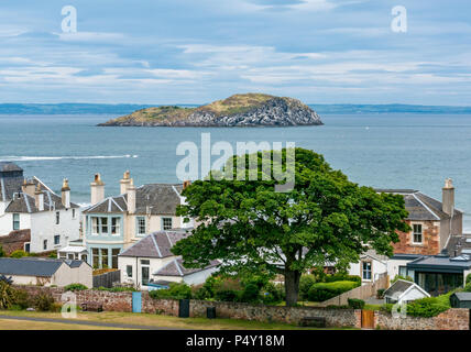 Craigleith isola nel Firth of Forth sulla giornata estiva con cielo blu, vista da North Berwick, East Lothian, Scozia con località case a schiera Foto Stock