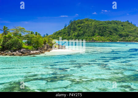 Anse I'Islette su Mahe alle Seychelles Foto Stock