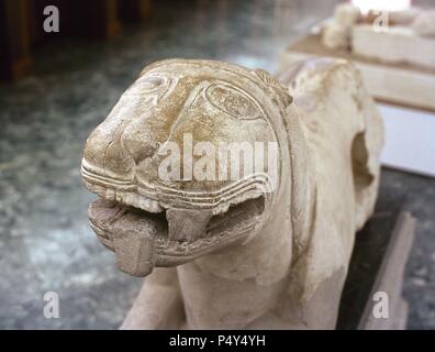 ARTE IBERICO. ESPAÑA. LEON IBERICO fechado en el Siglo V, procedente de Nueva Carteya. Museo Arqueológico de Córdoba. Andalucía. Foto Stock