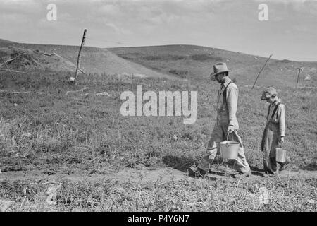 William Huravitch e figlio che trasportano l'acqua per la loro casa durante la siccità, la fonte di acqua è a circa mezzo miglio di distanza, Williams County, il Dakota del Nord, STATI UNITI D'AMERICA, Russell Lee, U.S. Amministrazione di reinsediamento, Settembre 1937 Foto Stock