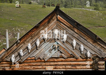 Casa di legno in Tuvan etnica village, Kanas Lake National Park, Xinjiang, Cina Foto Stock