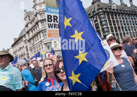 Londra, Regno Unito. Il 23 giugno 2018. Più di centomila persone hanno marciato attraverso il centro di Londra per chiedere una votazione finale su qualsiasi uscita del Regno Unito la trattativa per il secondo anniversario del voto Brexit. Anti-Brexit dimostranti percorsa da tutto il paese ad aderire al rally, organizzata da un certo numero di Westminster e basati grassroots gruppi di lobbying e segna il lancio di una petizione a livello nazionale per un "voto popolare". Londra, Regno Unito. 23 giugno 2018 Credit: Mike Abrahams/Alamy Live News Foto Stock