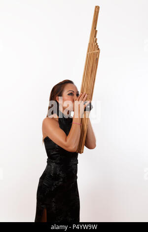 Lao Khaen armonica a bocca. Strumento Reed (Thai/Laos) Il bambù fatti a mano- Pan tubi dalla Thailandia. Foto Stock