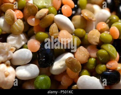 Bianco di grano e fagioli neri, arancione lenticchie, ceci verdi Foto Stock