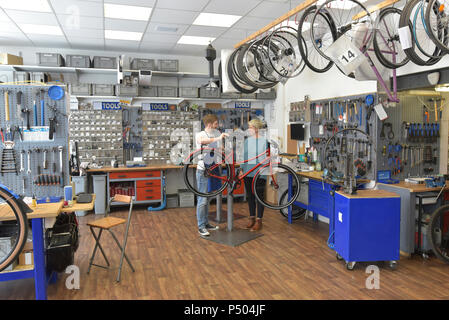 Addetto alle vendite ad aiutare il cliente nel negozio di biciclette Foto Stock