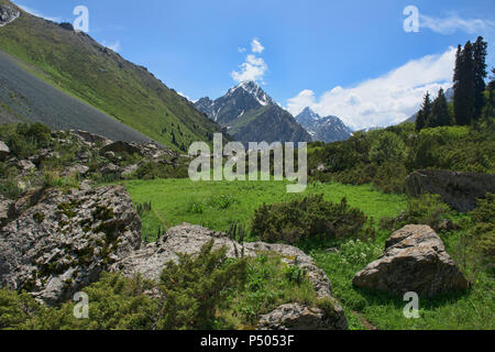 Bellissimo scenario alpino in montagne Tian Shan, Karakol, Kirghizistan Foto Stock
