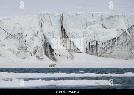 Norvegia Isole Svalbard, Soraust-Svalbard Riserva Naturale, Barentsoya, Freemansundet (Freeman Suono) via fluviale tra le isole di Edgeøya e Barentsøya. Foto Stock