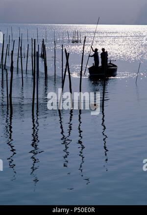 Spagna. Valencia. Albufera lake. Il tramonto. Foto Stock