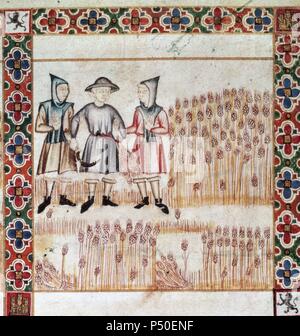 I cantici di Maria Santissima . Il XIII secolo. Da Alfonso X di Castiglia, chiamato il saggio. Illustrazione raffigurante due uomini arresto di un contadino. Folio 236. Cantico 2r. Biblioteca Reale. Monastero di El Escorial. Comunità di Madrid. Spagna. Foto Stock