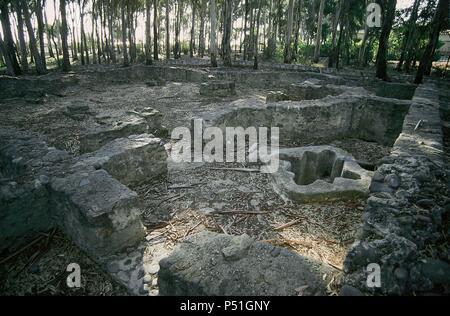 ARTE paleocristiano. ESPAÑA. Ristoranti de la basilica VEGA DEL MAR. Vista generale de las ruinas del BAPTISTERIO con la pila bautismal en su centro. SAN Pedro de Alcantara. Provincia de Málaga. Andalucía. Foto Stock