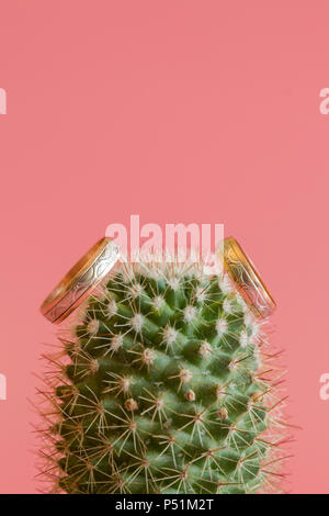 Matrimonio romantico anello su Cactus e sfondo rosa il fuoco selettivo sul cuore all'interno dell'anello.amore concetto. anello di nozze su cactus. Lunga durata di amore conce Foto Stock