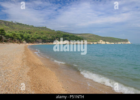 Costa del Gargano: Spiaggia di campi Bay vicino a Vieste in Puglia (Italia). E' una pittoresca baia del Gargano incorniciata da ulivi e pinete. Foto Stock