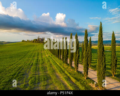 Bellissimo paesaggio paesaggio della Toscana in Italia - cipressi lungo la strada bianca - Vista aerea - vicino a Pienza, Toscana, Italia Foto Stock