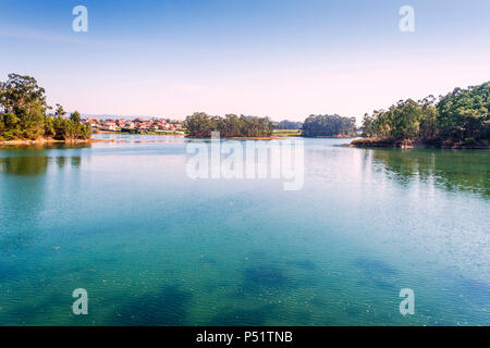 Alberi confinanti con Vilanova de Arousa estuary Foto Stock