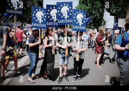 Voto popolare a Londra Regno Unito - 23 Giugno 2018 - i dimostranti esigono una seconda votazione finale sul Brexit trattare con cartelli contro la signora può LEUSER Foto Stock