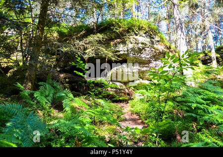 Sul Mont Saint Odile nei monti Vosgi in Francia, il vecchio muro di pagani Foto Stock