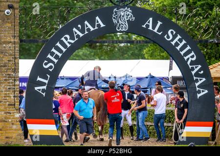 West Sussex, Regno Unito. Il 23 giugno, 2018. Il regime britannico Derby. CSI4* Al Shira"aa Hickstead Derby riunione. Showjumping. Il tutto in Inghilterra corso di salto. Hickstead. West Sussex. Regno Unito. Il giorno 4. 23/06/2018. Credito: Sport In immagini/Alamy Live News Foto Stock