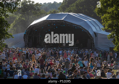 Tunbridge Wells, Regno Unito. Il 24 giugno 2018 i frequentatori del Festival godendo il sole serale presso il cervo nero Festival, Eridge Park, Kent REGNO UNITO..© Jason Richardson / Alamy Live News Foto Stock