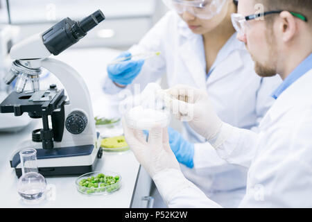 I microbiologi proprietà di rilevazione di verdura verde Foto Stock