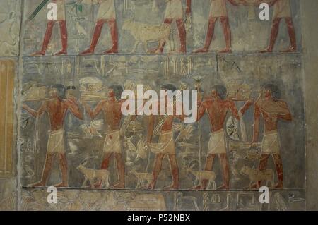 Mastaba di Ptahhotep Akhethotep e. Viziers egiziano. Padre e figlio. Rilievo raffigurante i server che porta il cibo funeraria di Ptahhotep. Parete ovest. Saqqara. L'Egitto. Foto Stock