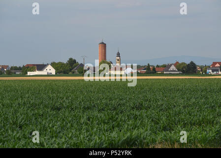 Giugno 29, 2015 - Ungersheim, Francia: vista generale di Ungersheim, un piccolo villaggio alsaziano, (popolazione: 2000) noto come il villaggio più verde in Francia a causa dei suoi vari ambiente iniziative: la costruzione di una centrale solare, uso di comunale di terreni agricoli per promuovere e valorizzare la bio cibo, trasporto di cavalli per i bambini delle scuole di pesticidi negli spazi verdi, eco-alloggio, riscaldamento a legna, ecc. Ungersheim è parte della rete di transizione, un'associazione internazionale per la promozione di misure a favore di adattamento ai cambiamenti climatici, specialmente energica e autonomia alimentare. Reportage a Ungersheim, Foto Stock