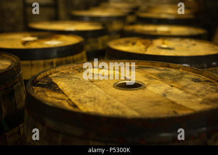 Fila di botti di legno o botti vuote nella distilleria di whisky Old Jameson a Midleton, County Cork, Irlanda. Foto Stock