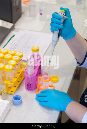 Trasferire con una pipetta un campione in un recipiente di laboratorio Foto Stock