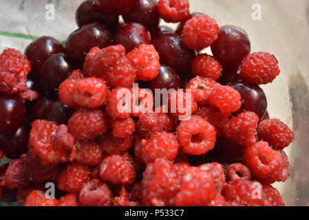 Frutta fresca, lamponi rossi fatti in casa, ciliegie disposte in un vaso di vetro. Foto Stock