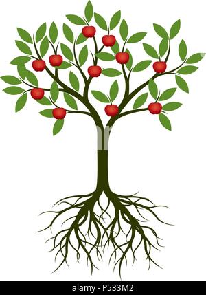 Verde mela albero rosso con frutti di apple. Illustrazione Vettoriale. Illustrazione Vettoriale