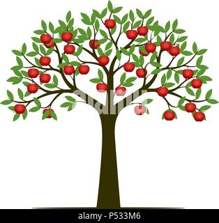 Albero di mele con mela rossa frutti. Illustrazione Vettoriale. Illustrazione Vettoriale