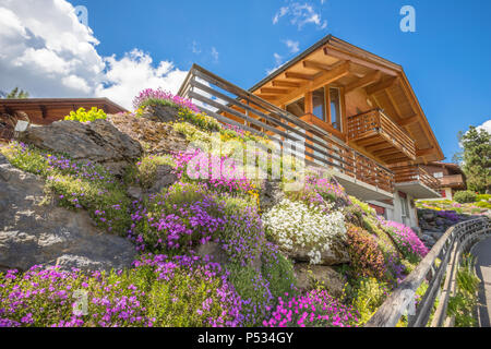 La molla nelle Alpi Svizzere Foto Stock