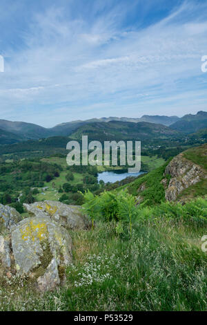 Vista dalla rupe di Edera, Loughrigg over Loughrigg tarn verso Langdale Pikes, Loughrigg Fell, Ambleside, Lake District, Cumbria, Inghilterra Foto Stock