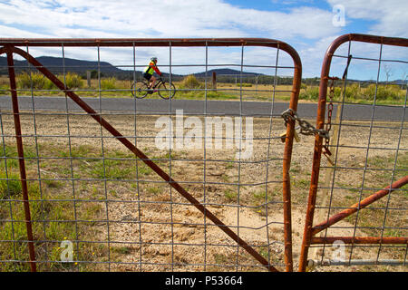 Escursioni in bicicletta sul Tasman autostrada lungo la costa est della Tasmania Foto Stock