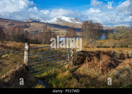 Meall Corranaich e Beinn Ghlas a sud ovest di cresta Ben Lawers, sopra Loch Tay, vicino a Killin, regione delle Highlands, Scotland, Regno Unito Foto Stock