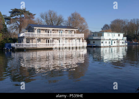 Case galleggianti ormeggiate lungo il fiume Tamigi in Walton-on-Thames vicino a Londra Foto Stock