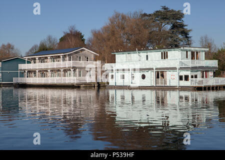 Case galleggianti ormeggiate lungo il fiume Tamigi in Walton-on-Thames vicino a Londra Foto Stock