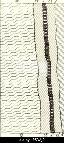 " Relazione di esplorazione geologica del quarantesimo parallelo" (1870) Foto Stock